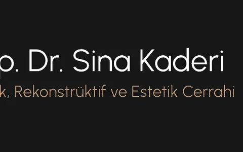 Op. Dr. Sina Kaderi - Facelift (yüz germe) - Rhinoplasty (burun estetiği) - Jaw Surgery (çene estetiği) - Liplift